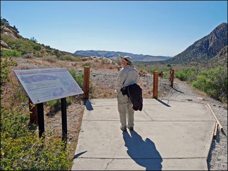 Willow Springs Loop