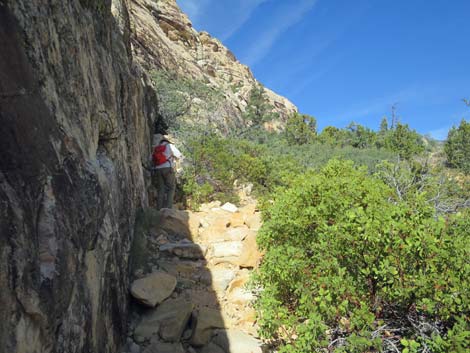 Willow Springs Loop