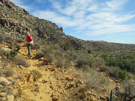 Willow Springs Loop