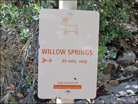 Willow Springs Loop