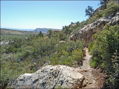 Willow Springs Loop