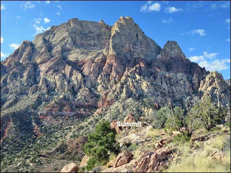 Wilson's Pimple Peak Trail