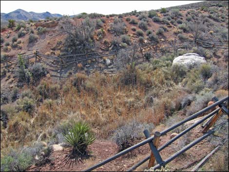 Wooden Fence Spring Trail