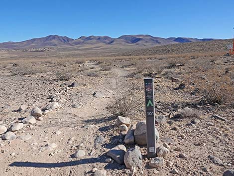 BLM 100 Trail