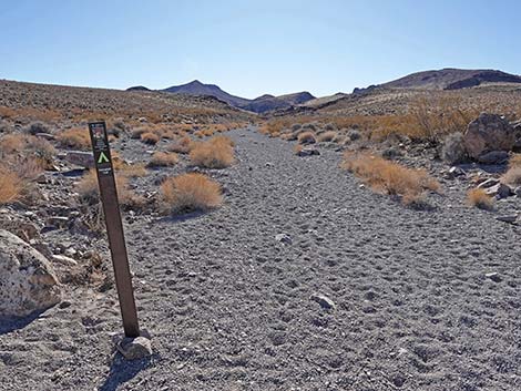 BLM 100 Trail