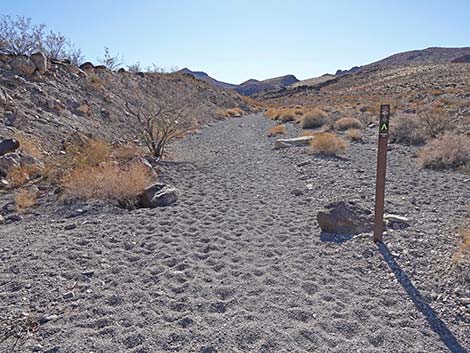 BLM 100 Trail