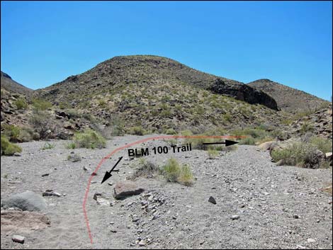 BLM 100 Trail