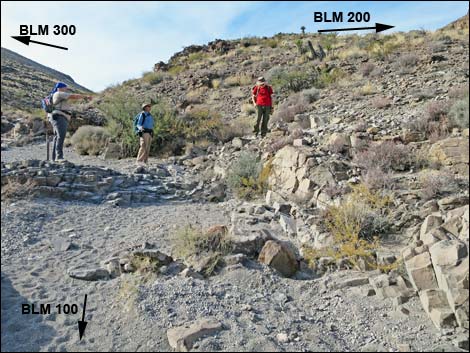 BLM 100 Trail