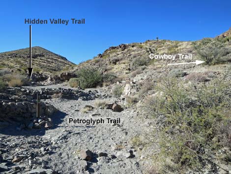 BLM 100 Trail