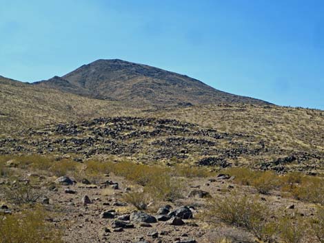 Petroglyph Canyon Trail