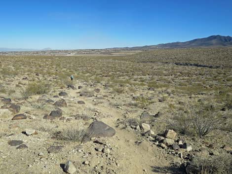 Petroglyph Canyon Trail