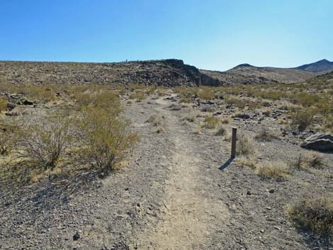 Petroglyph Canyon Trail