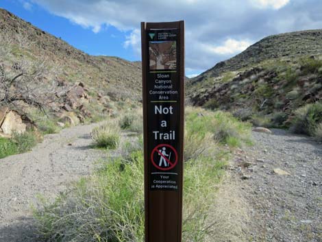 Petroglyph Canyon