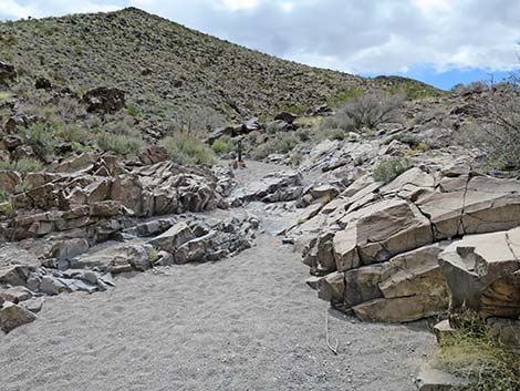 Petroglyph Canyon Trail