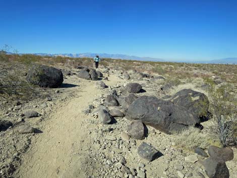 Petroglyph Trail