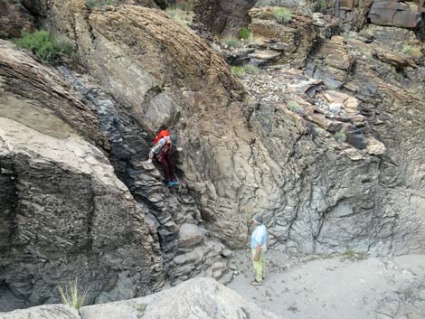 Petroglyph Trail