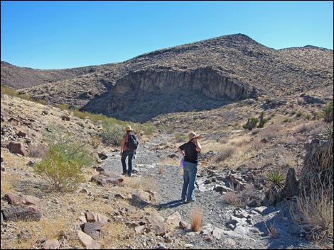 BLM 200 Trail