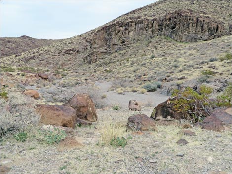 Sloan Canyon