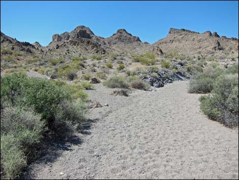 Hidden Valley Trail