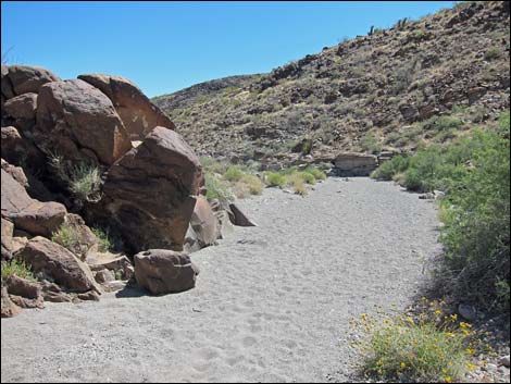 Hidden Valley Trail