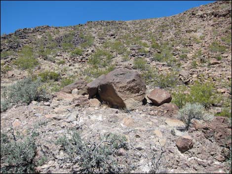 Hidden Valley Trail