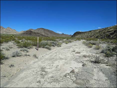 Hidden Valley Trail