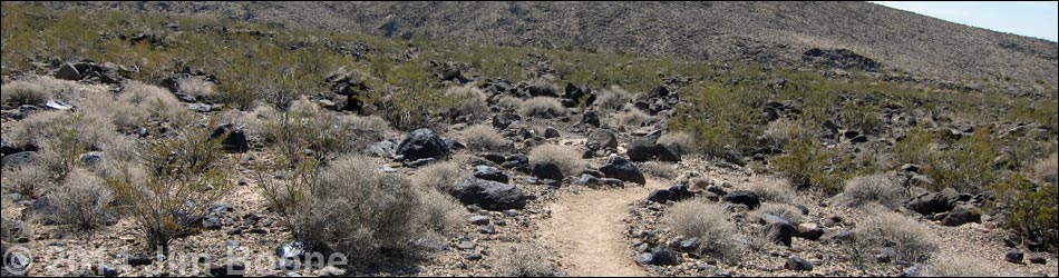 BLM 402 Connector Trail