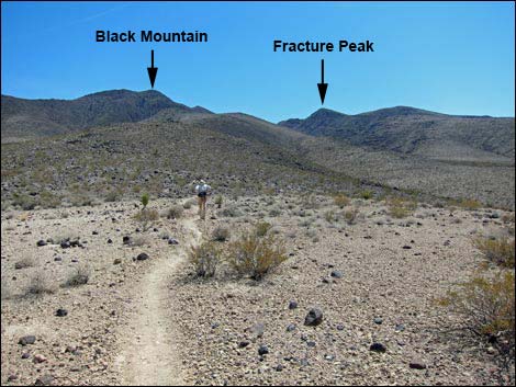 BLM 404 Trail