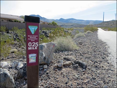 BLM 404 Trail