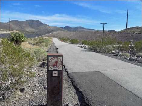 BLM 404 Trail