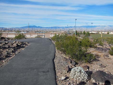 McCullough Hills Trail