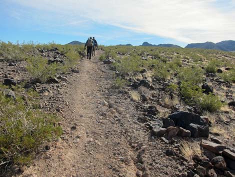 McCullough Hills Trail