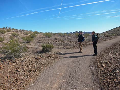 McCullough Hills Trail