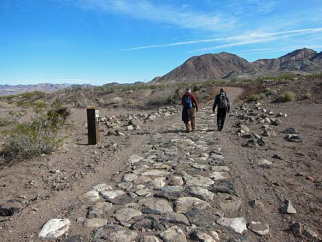 McCullough Hills Trail