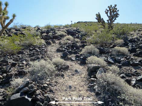 Park Peak Trail