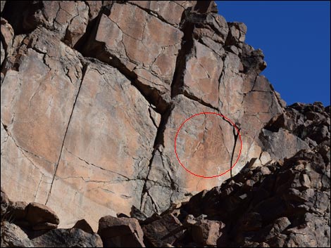 Petroglyph Trail