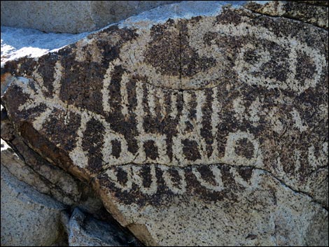 Sloan Canyon Petroglyphs