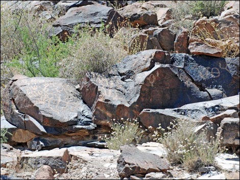 Sloan Canyon Petroglyphs