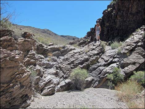 Sloan Canyon Loop