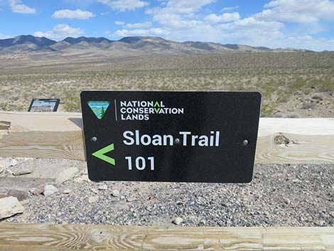 BLM 101 Trailhead