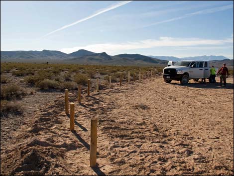 Hidden Valley Trailhead