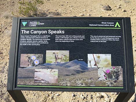 Petroglyph Canyon Trailhead