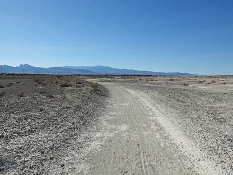 Aliente Loop Trail