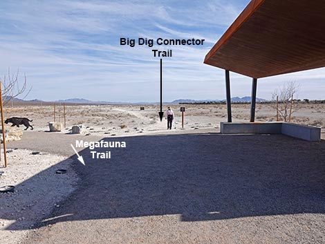 Big Dig Trail