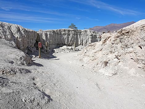 Big Dig Trail