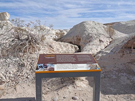 Big Dig Trail