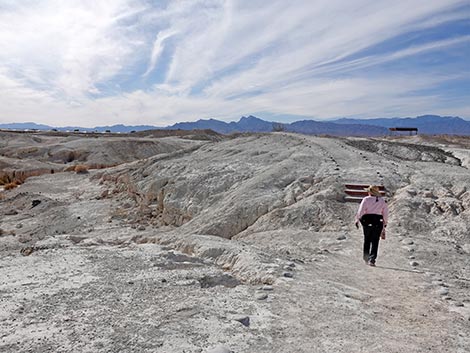 Big Dig Trail