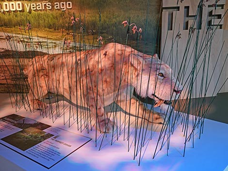 Ice Age Fossils State Park Visitor Center