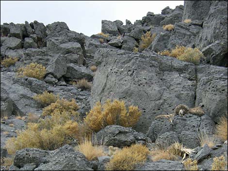 Big Arrow Peak