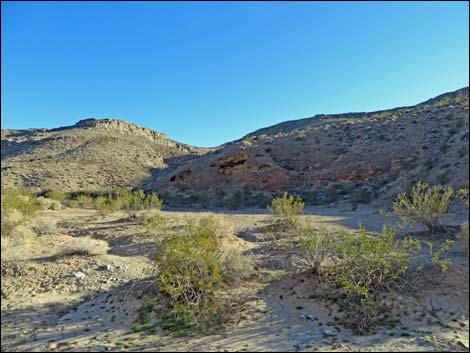 Arrow Canyon Access Road